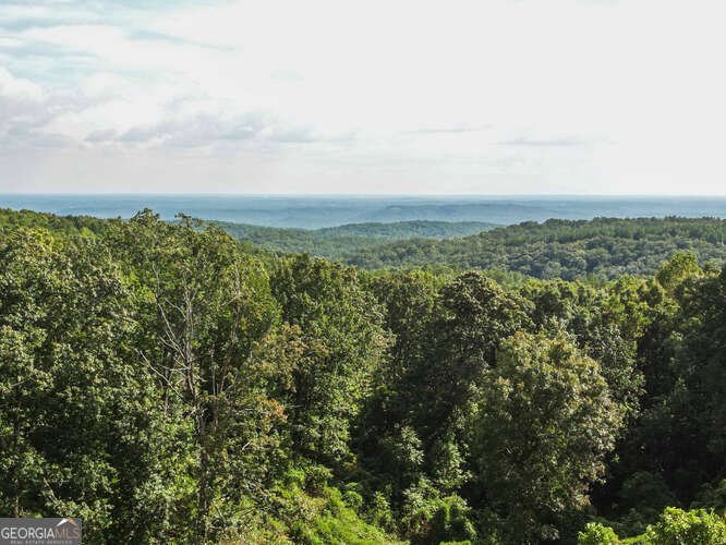 684 Grandview Avenue Mount Airy - 64