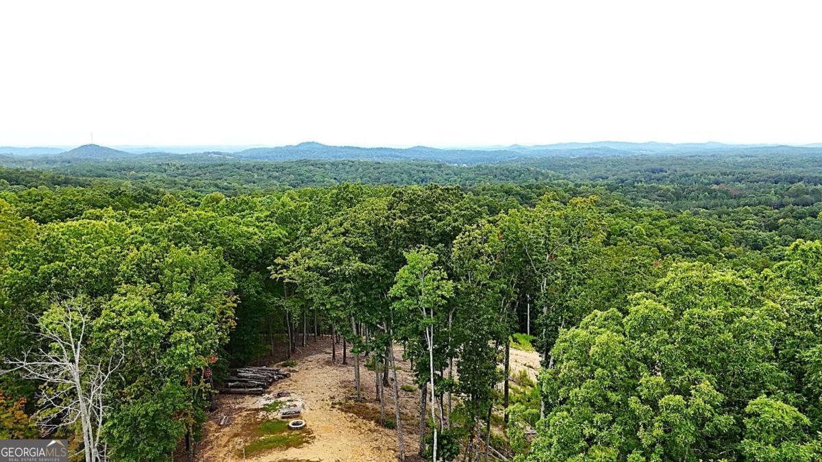 1625 Brushy Mountain Road Rockmart - 2