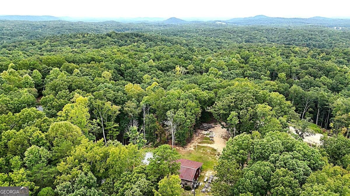 1625 Brushy Mountain Road Rockmart - 58