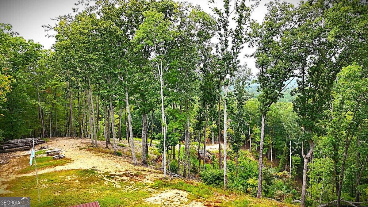 1625 Brushy Mountain Road Rockmart - 59