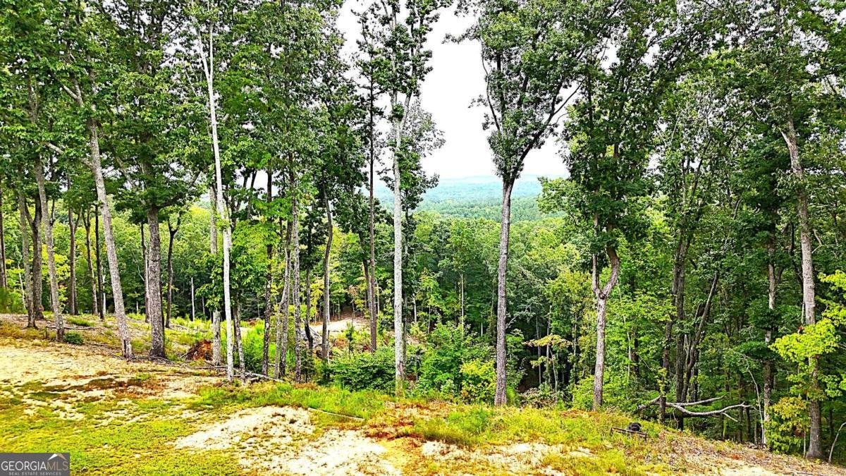 1625 Brushy Mountain Road Rockmart - 60