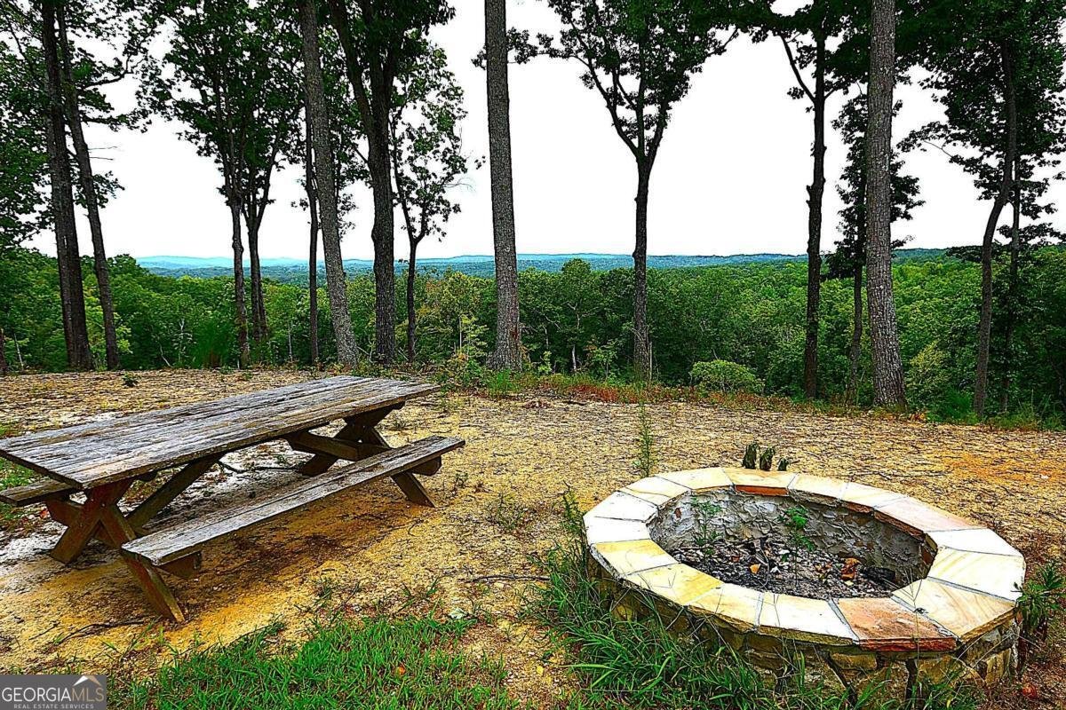 1625 Brushy Mountain Road Rockmart - 61
