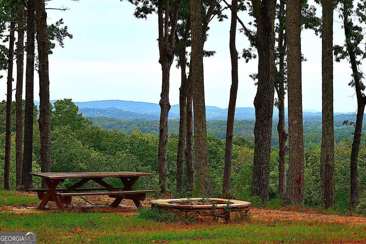 1625 Brushy Mountain Road Rockmart - 63