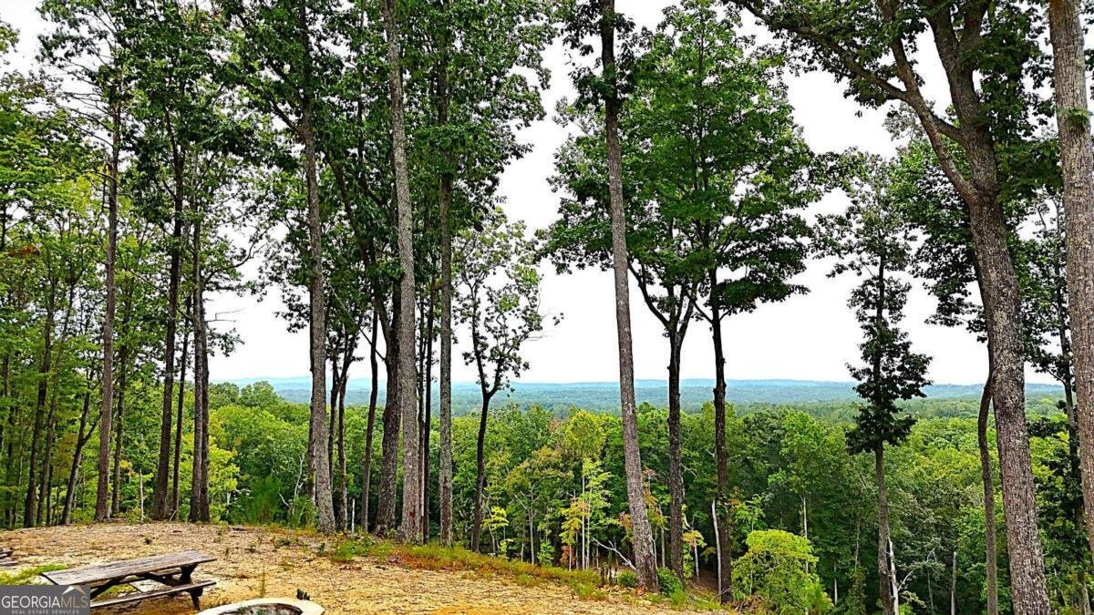 1625 Brushy Mountain Road Rockmart - 65