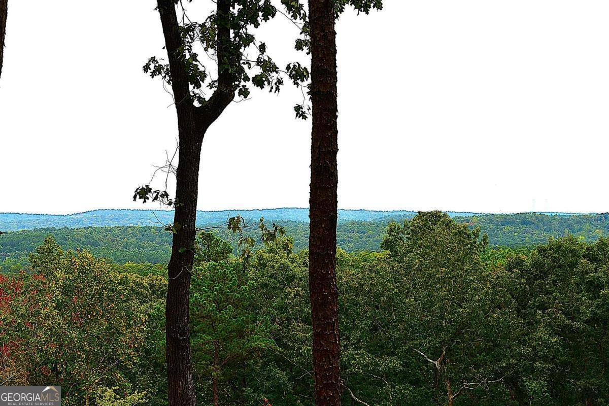 1625 Brushy Mountain Road Rockmart - 67