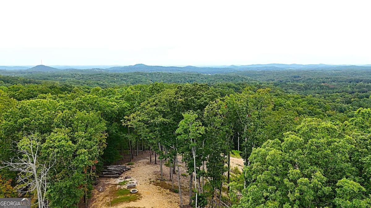 1625 Brushy Mountain Road Rockmart - 8