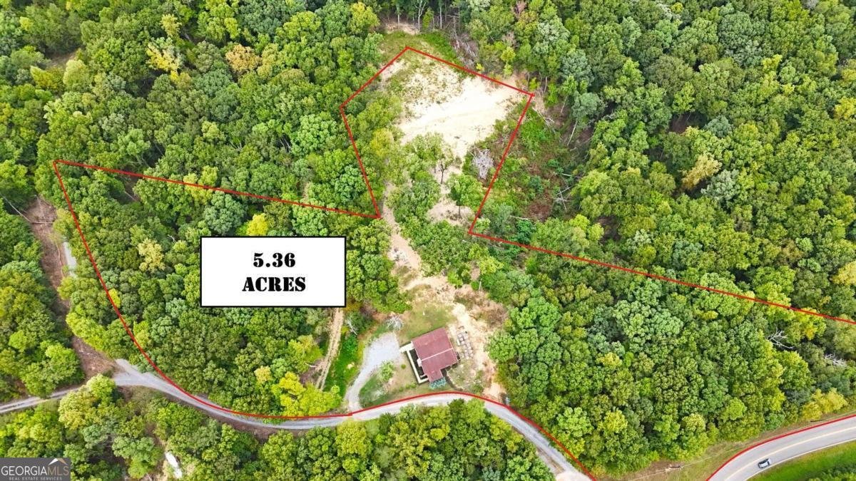 1625 Brushy Mountain Road Rockmart - 9