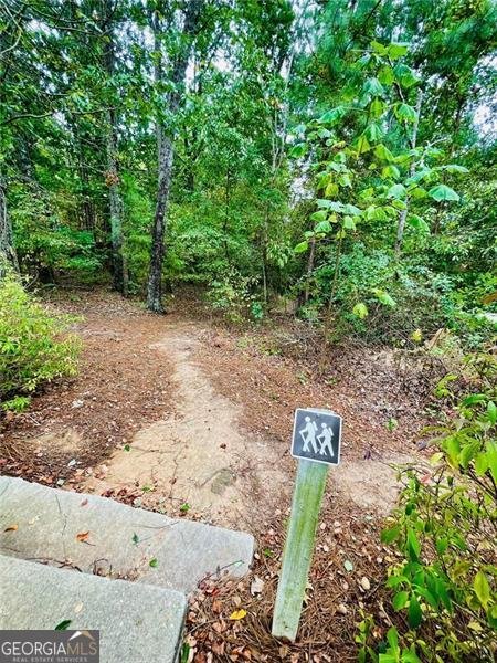 306 Mountain Laurel Walk Canton - 110
