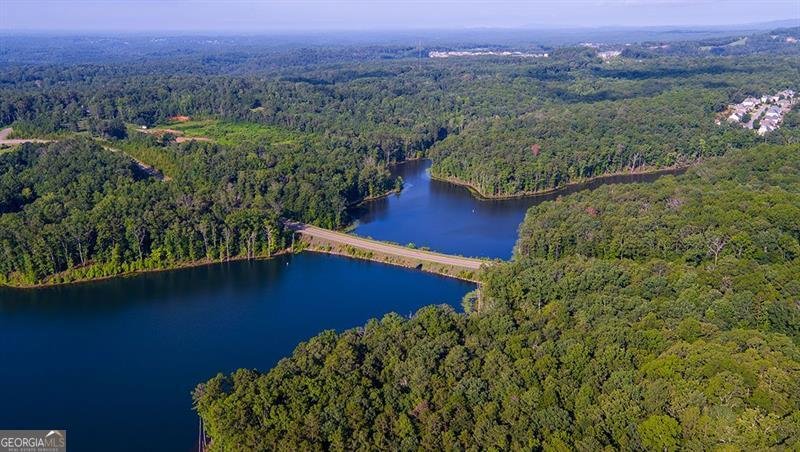 306 Mountain Laurel Walk Canton - 113