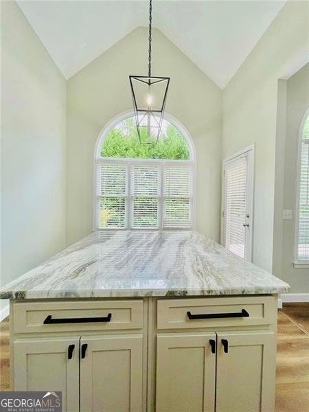 306 Mountain Laurel Walk Canton - 32