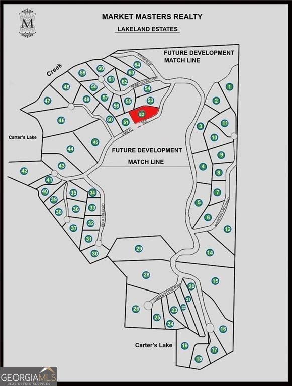 154 Lake Forest Drive Ellijay - 13