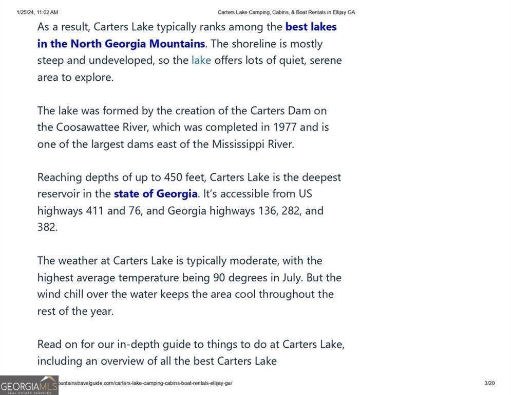 154 Lake Forest Drive Ellijay - 15