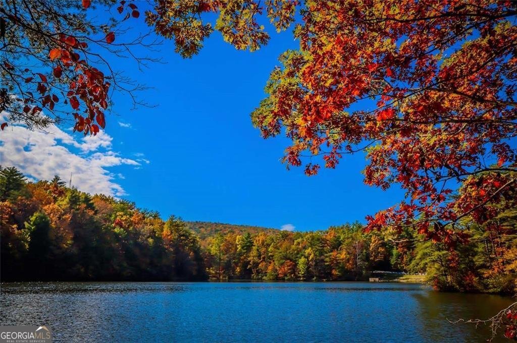 154 Lake Forest Drive Ellijay - 16