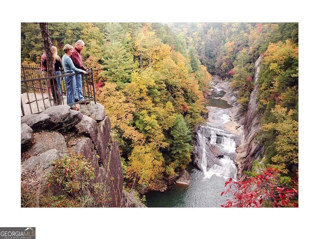 154 Lake Forest Drive Ellijay - 20