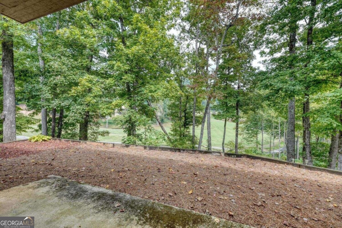 251 Shakespeare Drive Clayton - 31