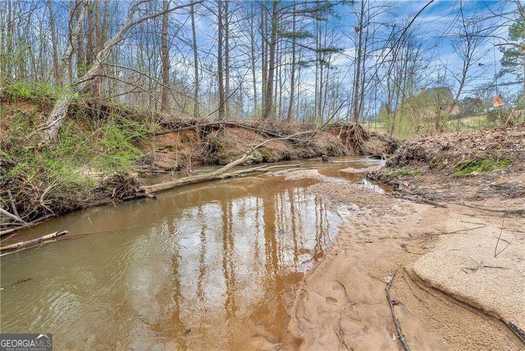 1197 Dee Kennedy Road Auburn - 65