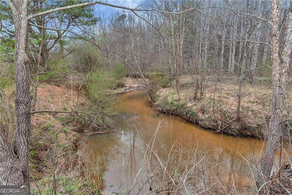 1197 Dee Kennedy Road Auburn - 67