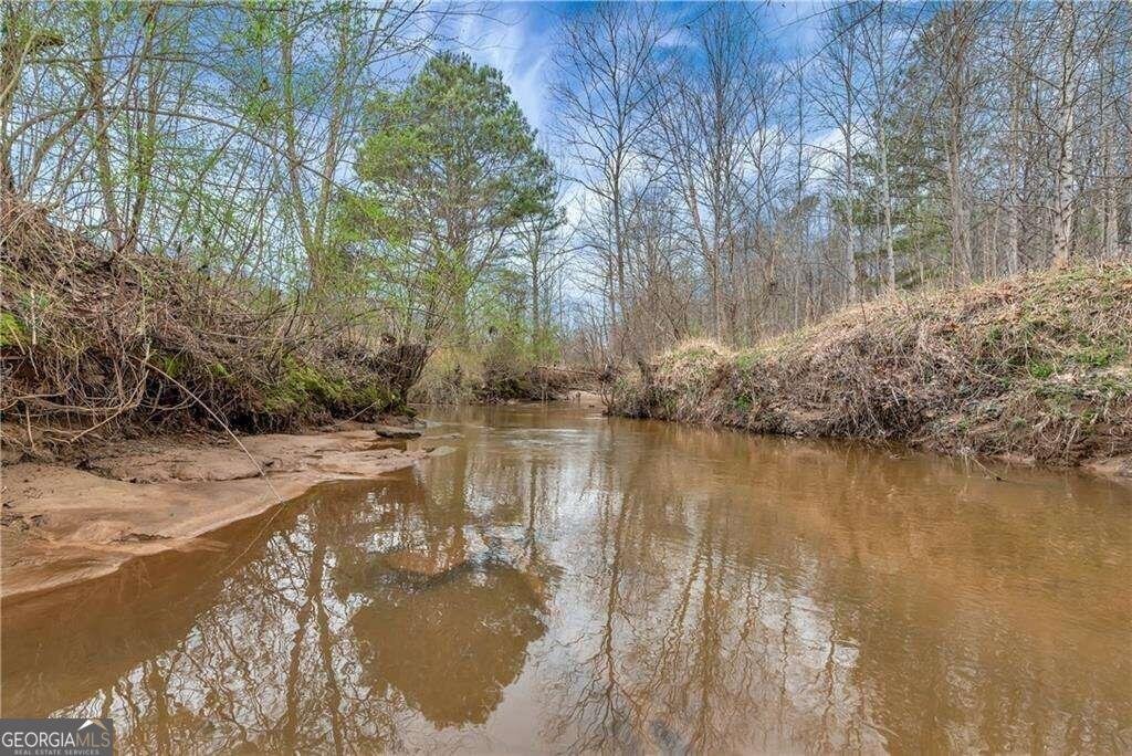 1197 Dee Kennedy Road Auburn - 69