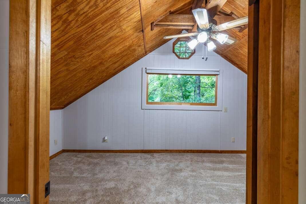 132 Silver Dollar Lane Young Harris - 19