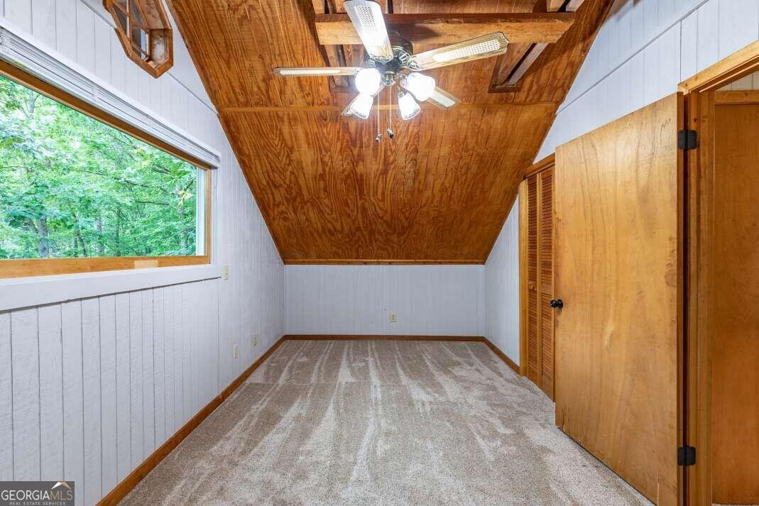 132 Silver Dollar Lane Young Harris - 20