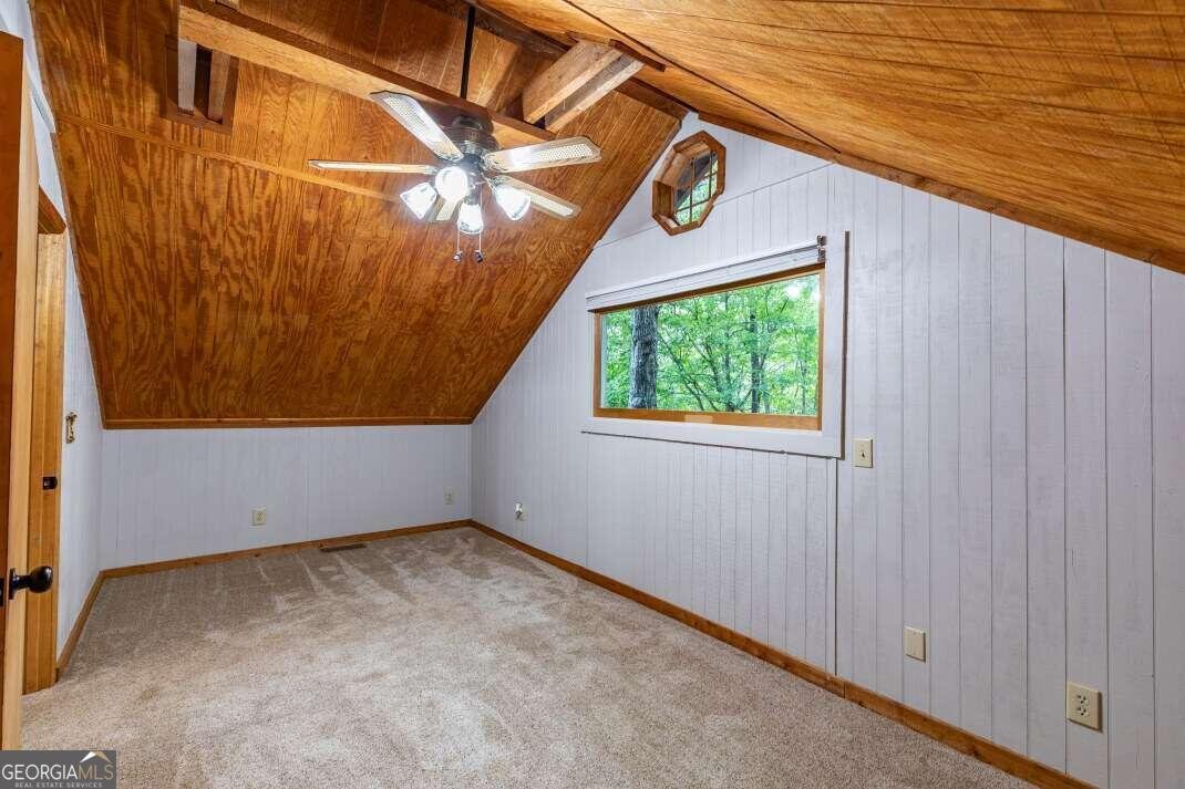 132 Silver Dollar Lane Young Harris - 21