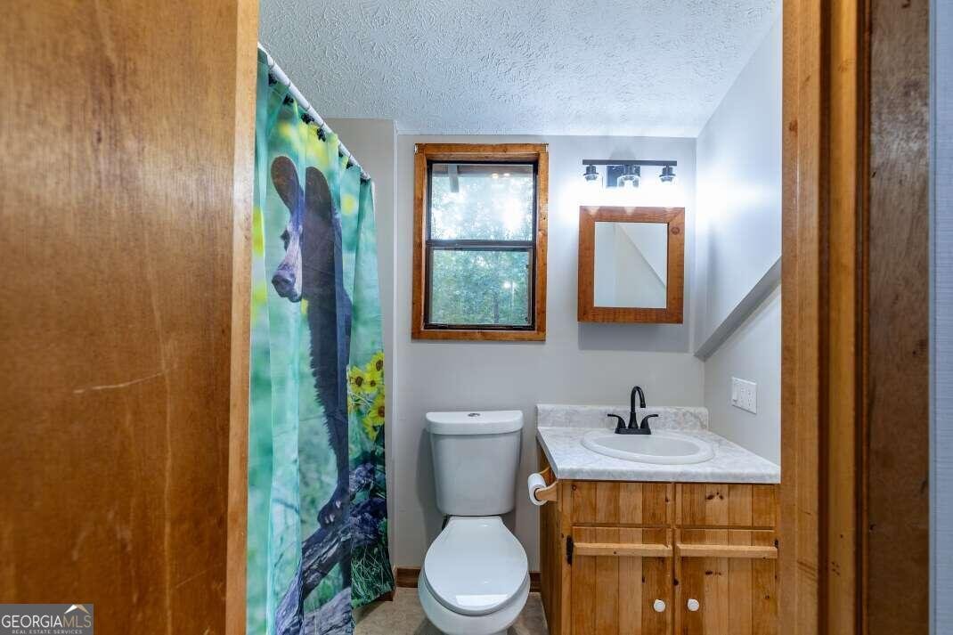 132 Silver Dollar Lane Young Harris - 22