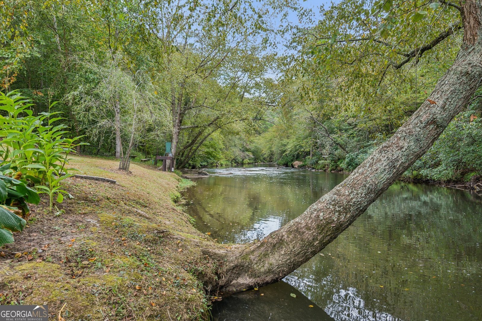 105 Riveredge Drive Ellijay - 43