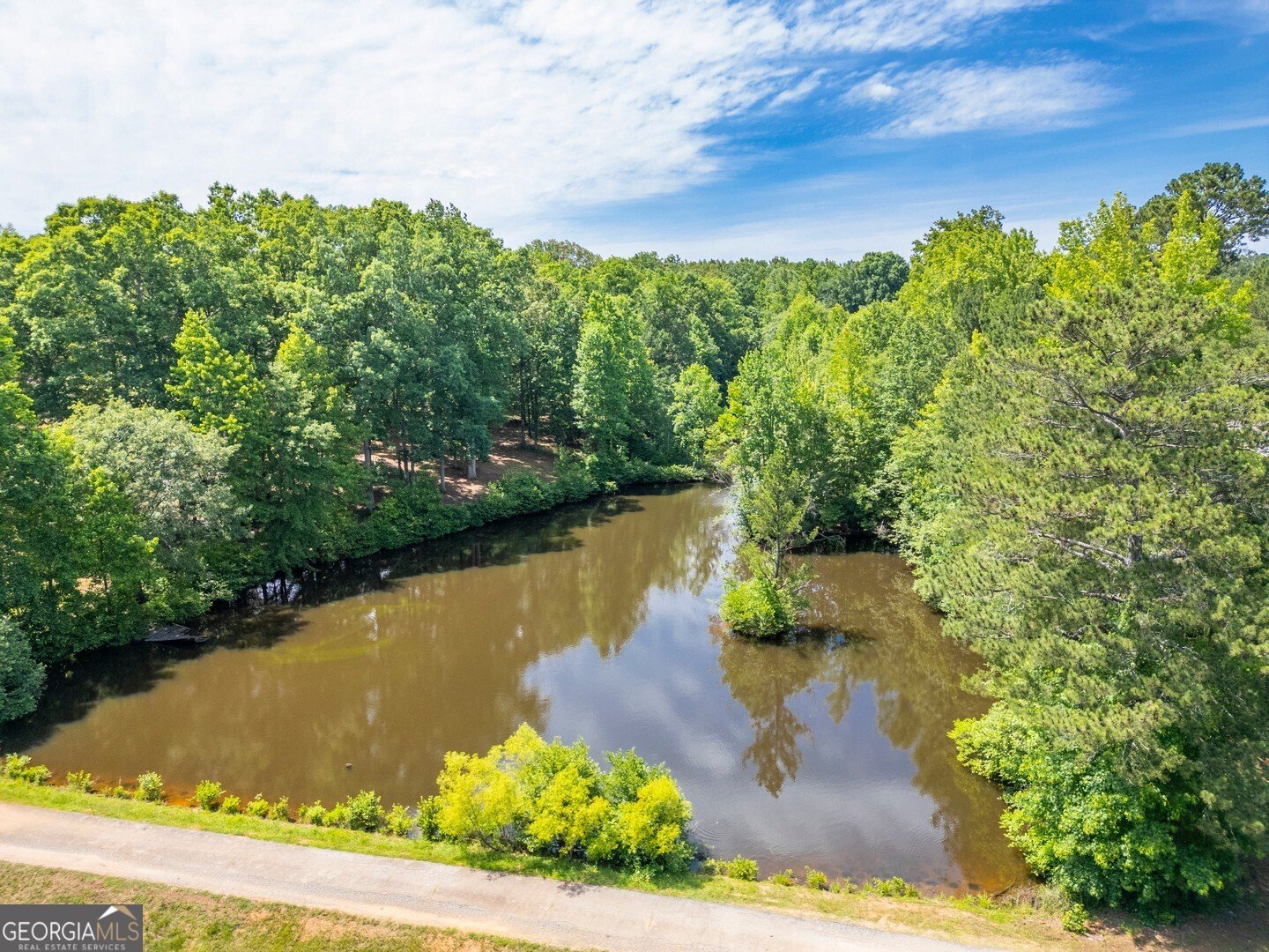 2320 Elks Club Road Covington - 80