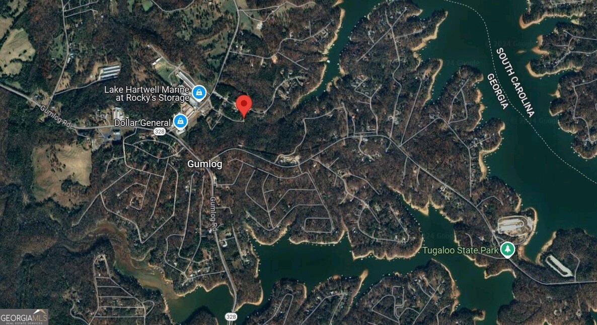 219 Poplar Springs Resort Road Lavonia - 7