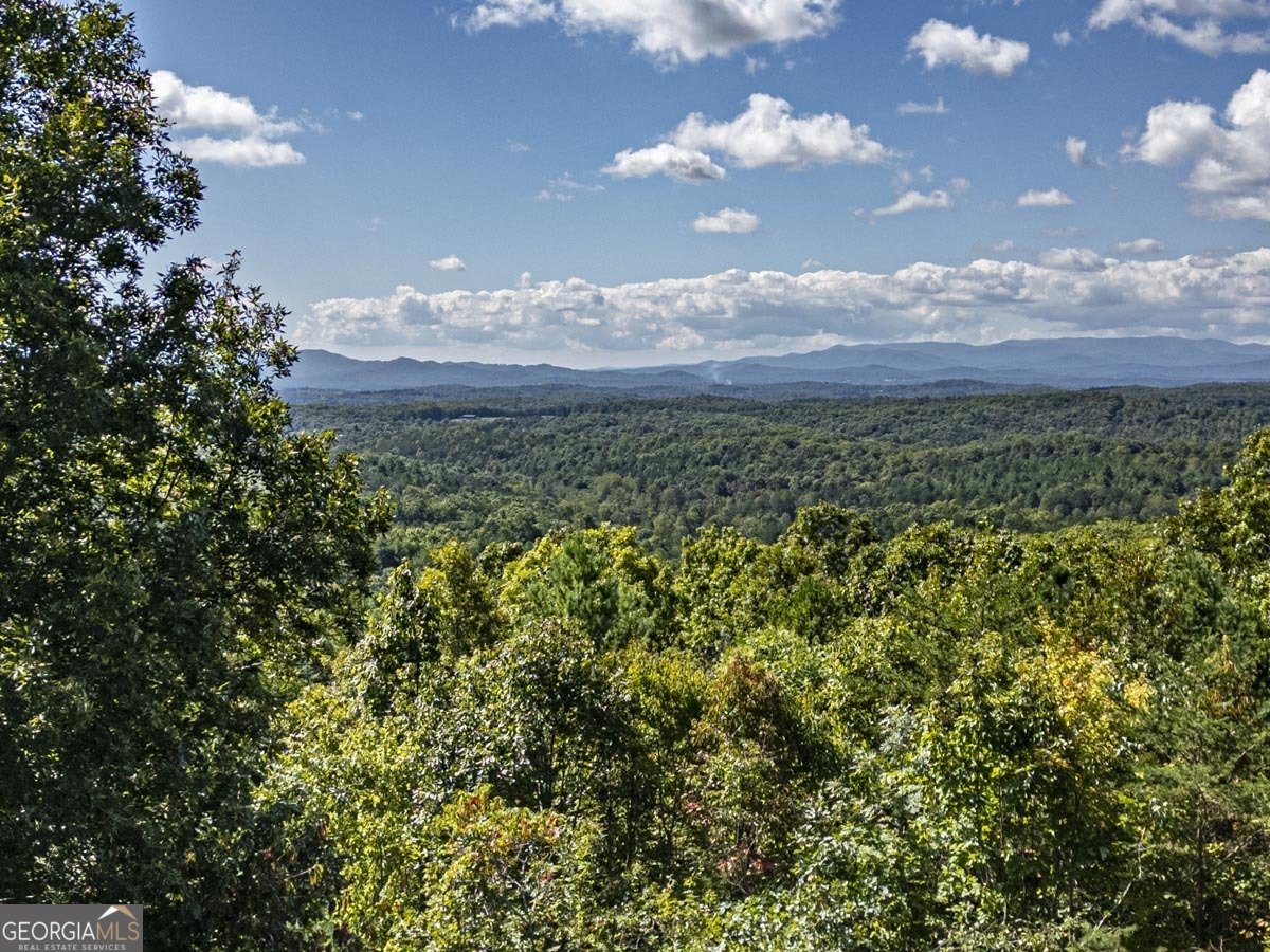 24 Oak Ledge Road Morganton - 31