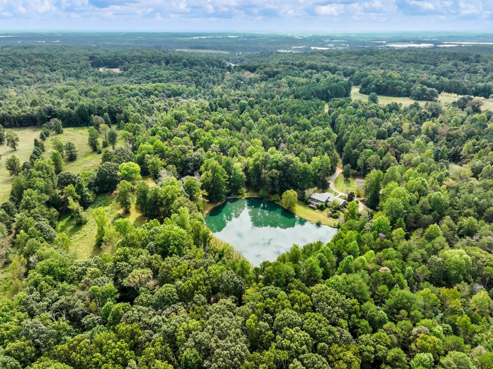 4394 Holly Springs Road Pendergrass - 53