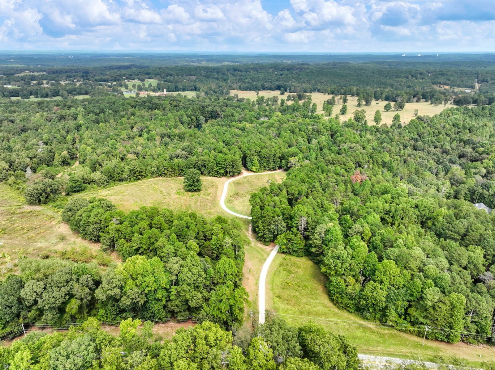 4394 Holly Springs Road Pendergrass - 55