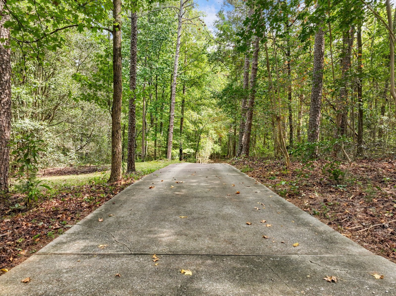 4394 Holly Springs Road Pendergrass - 57