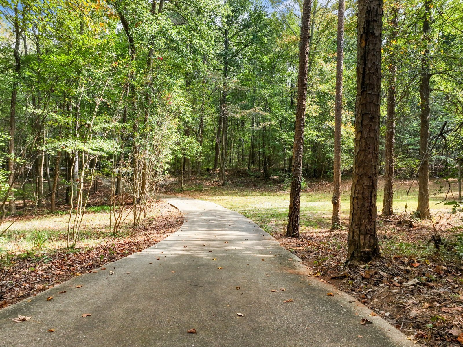4394 Holly Springs Road Pendergrass - 58