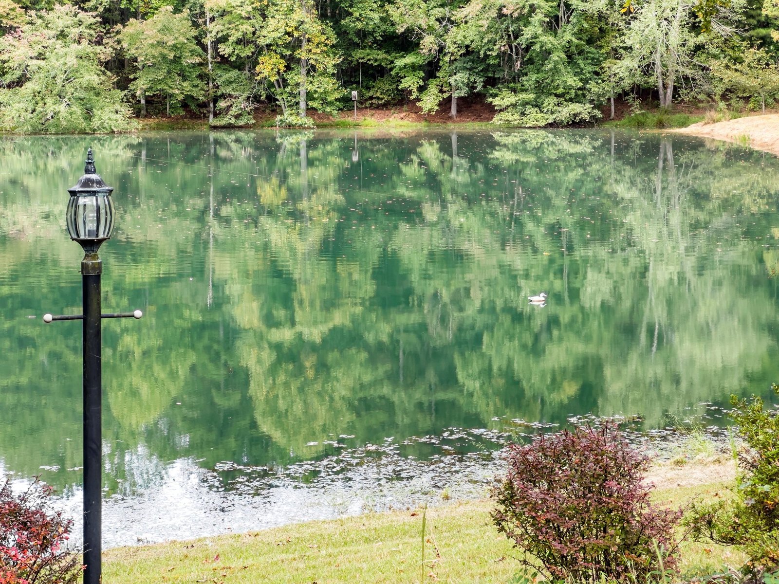 4394 Holly Springs Road Pendergrass - 66
