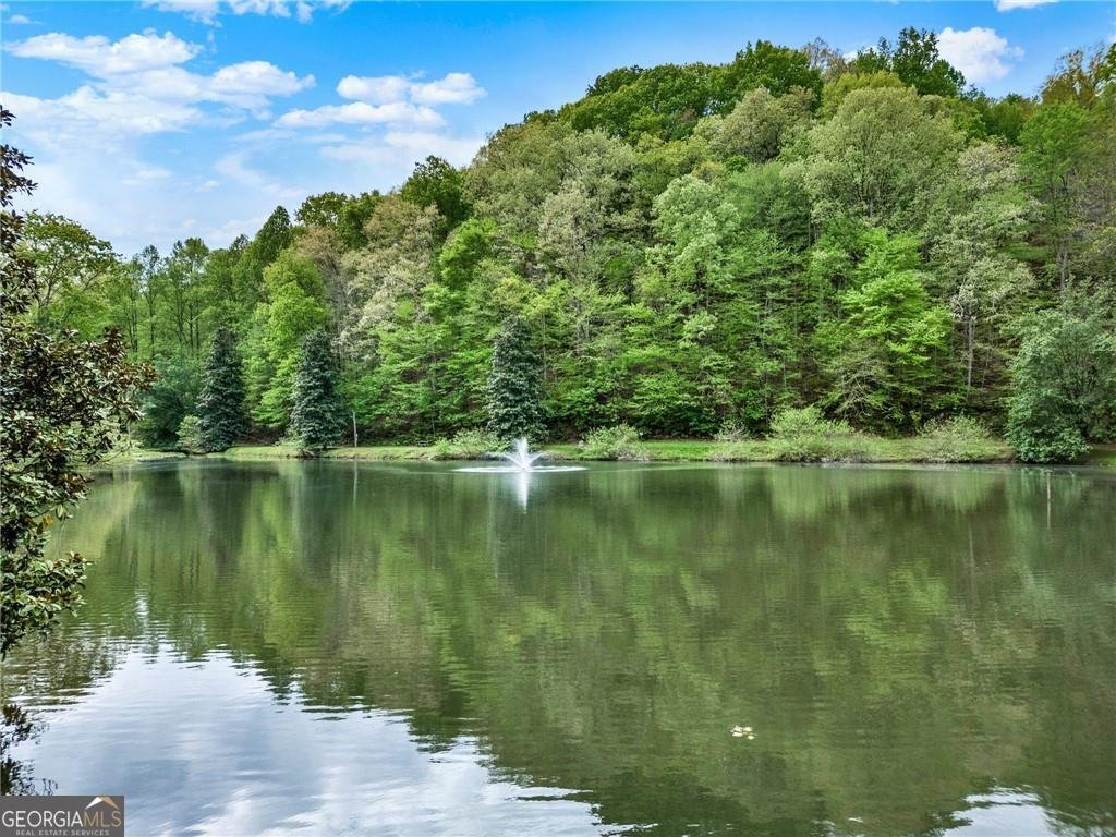 286 26th Street Ellijay - 30
