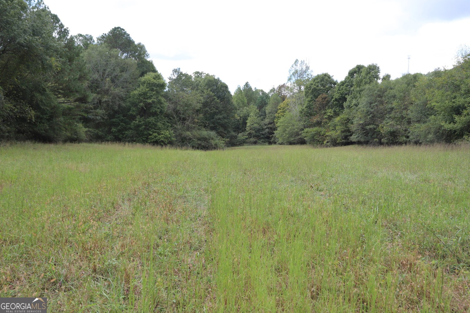 247 Dry Valley Road Summerville - 27