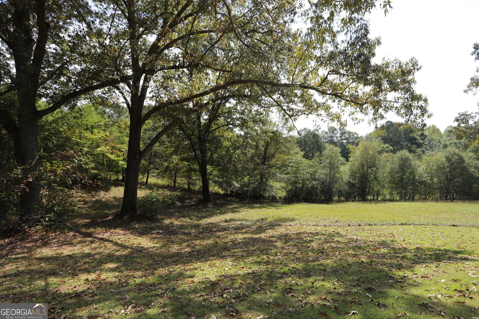247 Dry Valley Road Summerville - 5