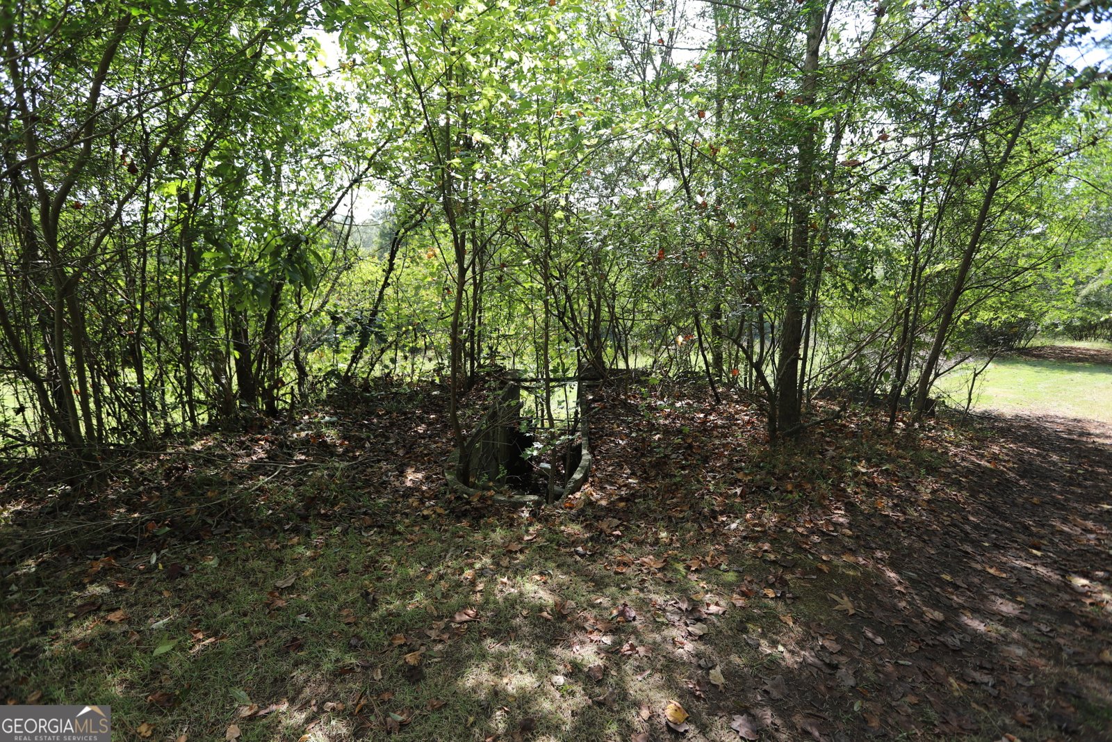 247 Dry Valley Road Summerville - 8