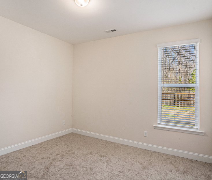 188 Sophie Circle Locust Grove - 10
