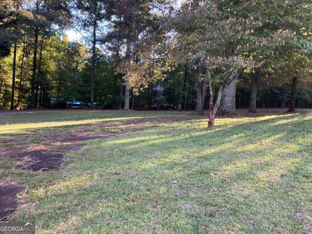 1078 Highway 92 Fayetteville - 39