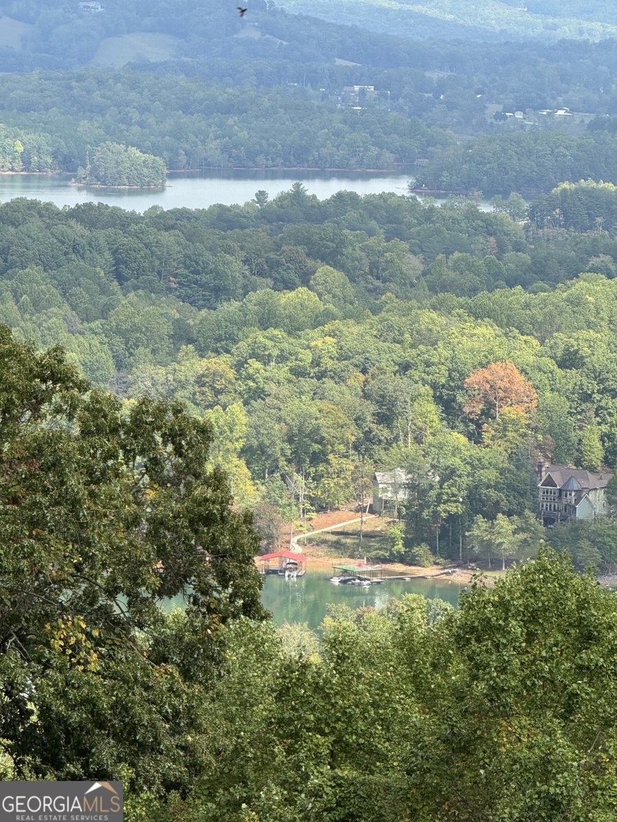 1077 Frog Pond Road Hiawassee - 4