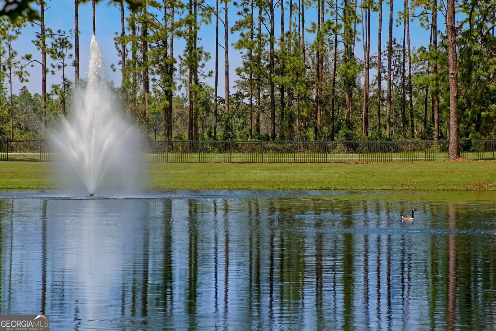 904 Larkspur Lane St. Marys - 59