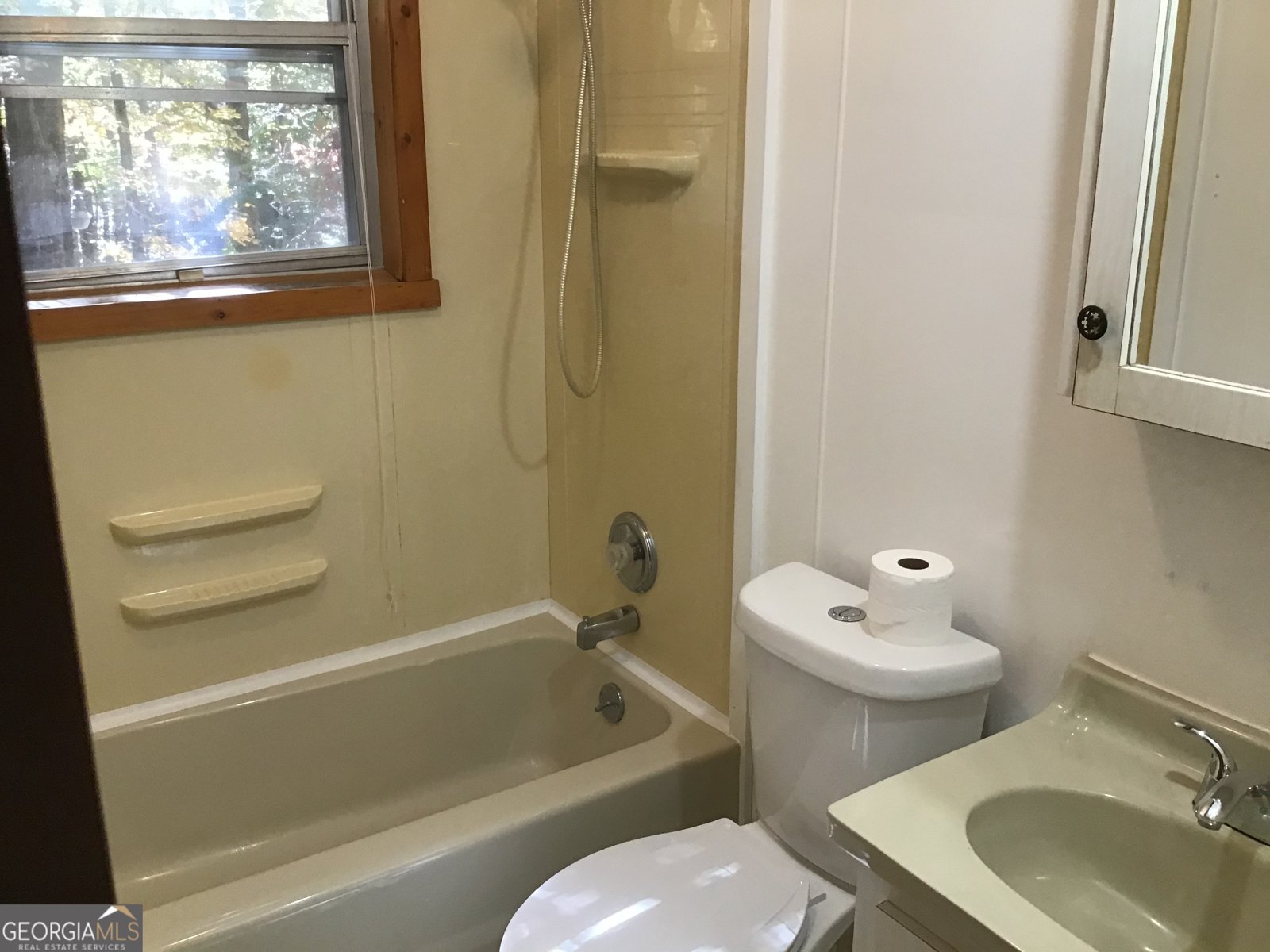 147 Wild Azalea Drive Dillard - 11