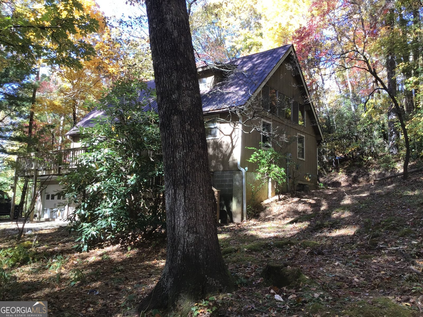 147 Wild Azalea Drive Dillard - 23