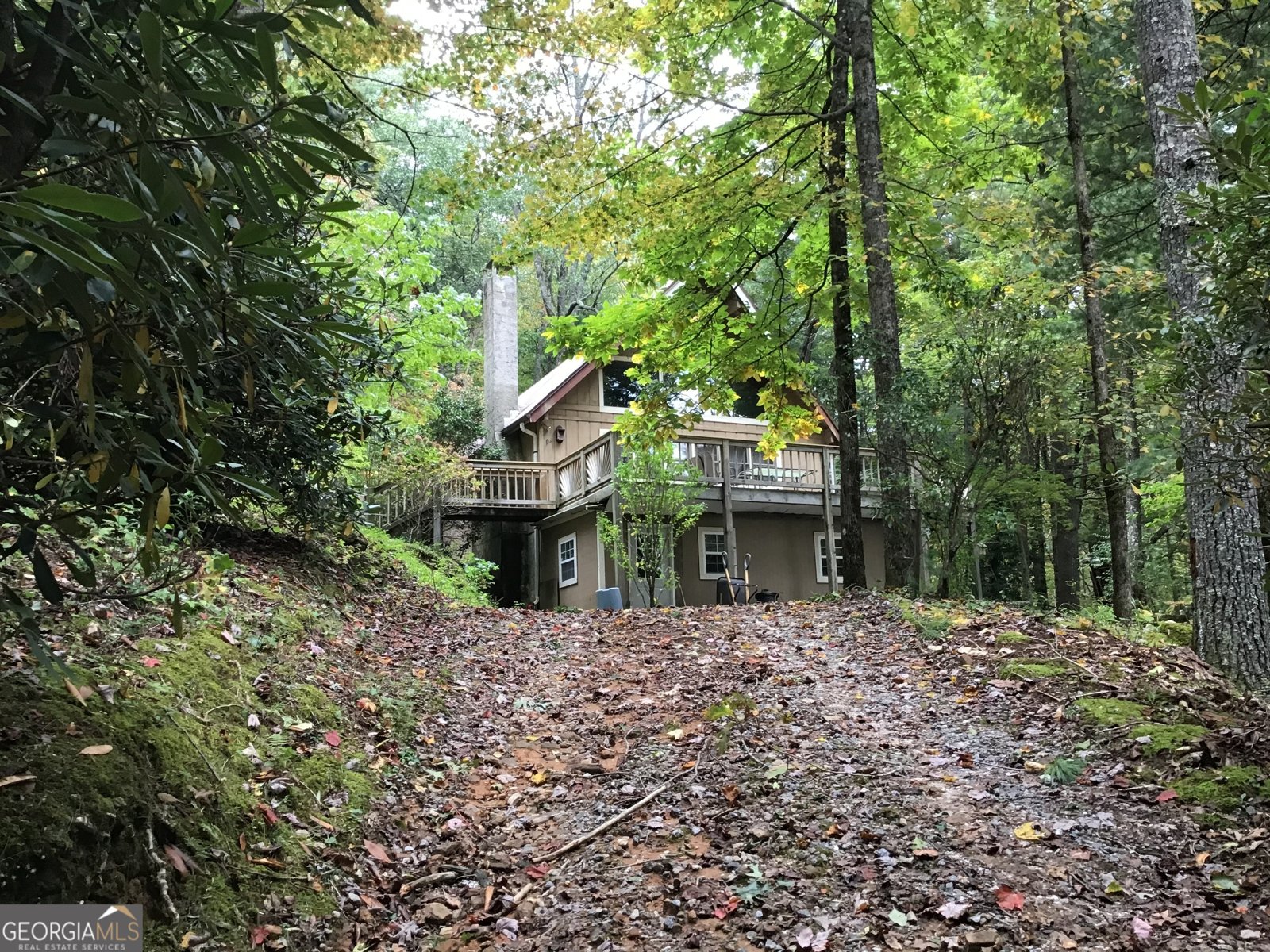 147 Wild Azalea Drive Dillard - 3