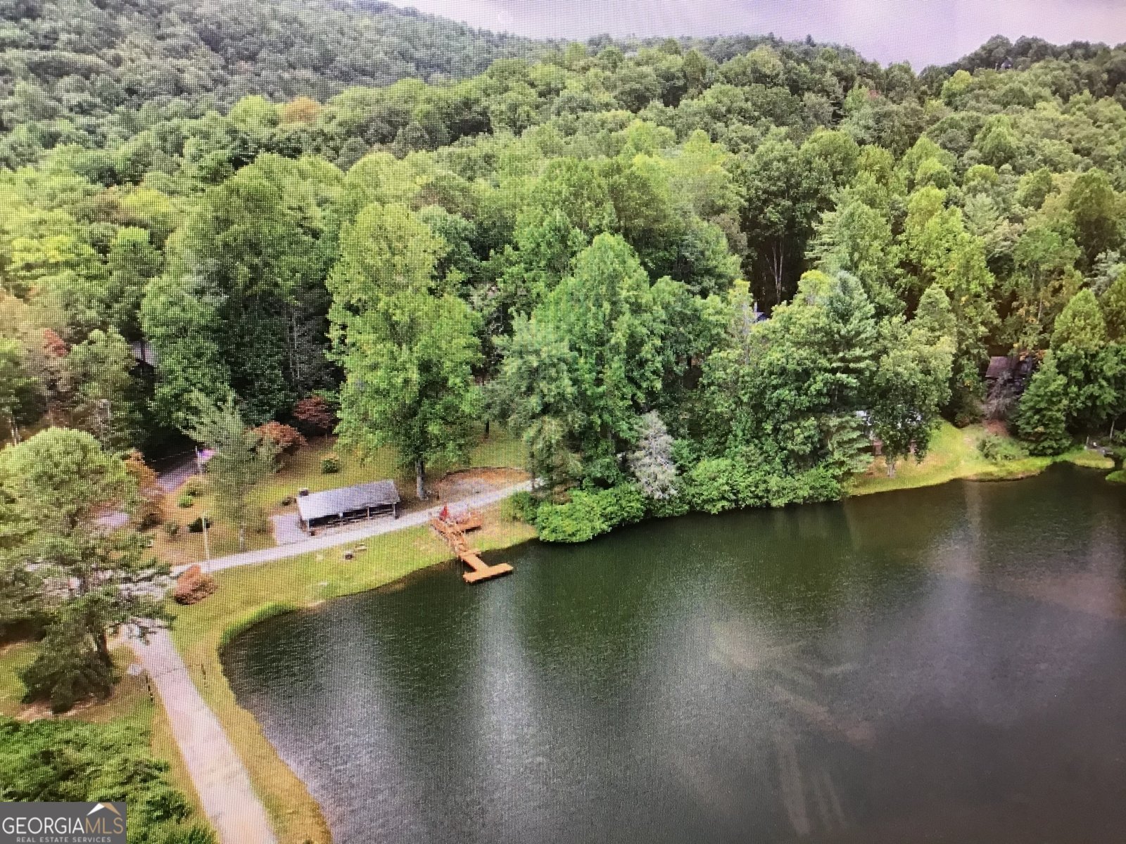 147 Wild Azalea Drive Dillard - 5