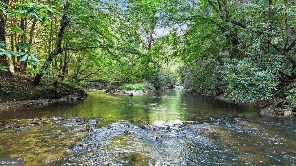 129 Old Bend Road Blue Ridge - 2