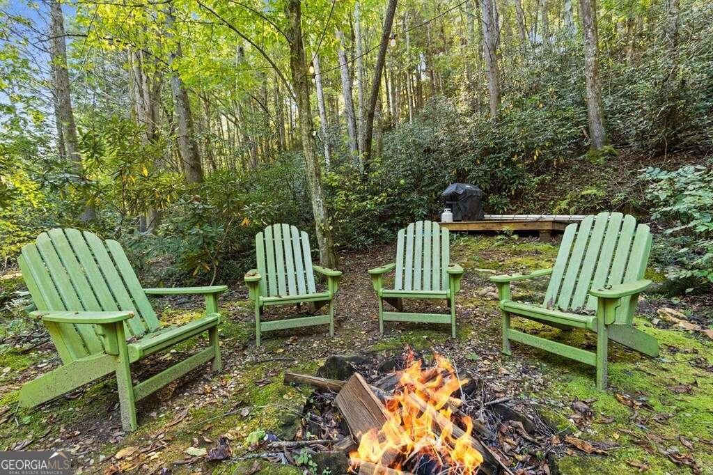 129 Old Bend Road Blue Ridge - 30
