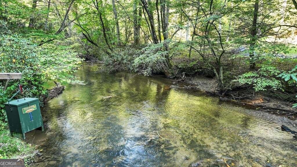 129 Old Bend Road Blue Ridge - 33